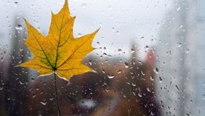 Променливо време в началото на седмицата