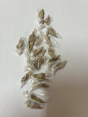 Иззеха фентанил от двама пловдивчани