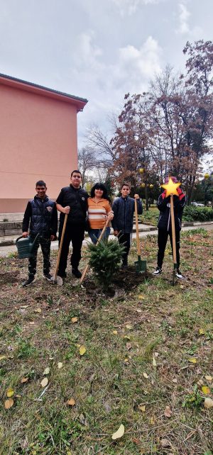 Нови дръвчета от „Обичам моето училище“ красят двора на ПГСС „Царица Йоанна“