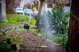 Нова поливна система има в пазарджишки парк