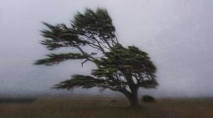 Десетки сигнали за щети след силния вятър в Пазарджишка област