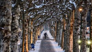 Времето полудя :Очакват ни 15 градуса над нулата