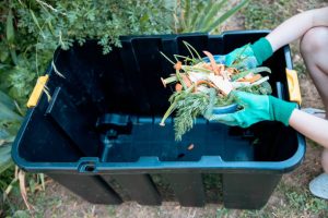 Община Пещера обмисля да предостави компостери на домакинствата