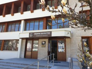 Община Велинград настоява за разследване кой трови кучета