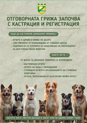 Община Пазарджик стартира кампания за регистрация на домашните кучета