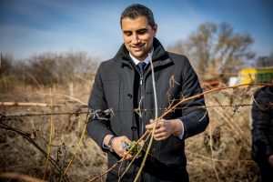 Петър Куленски: Честит Трифон Зарезан на лозарите и винарите от Пазарджишко