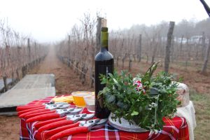 Православната църква отбелязва Трифоновден