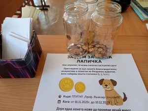 Близо 1800 евро събра кампания за бездомните животни в Панагюрище