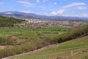 В Панагюрище засадиха кедрова горичка послучай 150 г. Априлска епопея