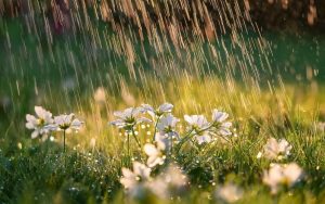 Дъжд и по-хладно време в началото на седмицата