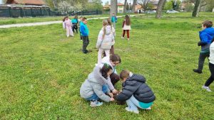 Засаждат 600 медоносни дръвчета в Пазарджик