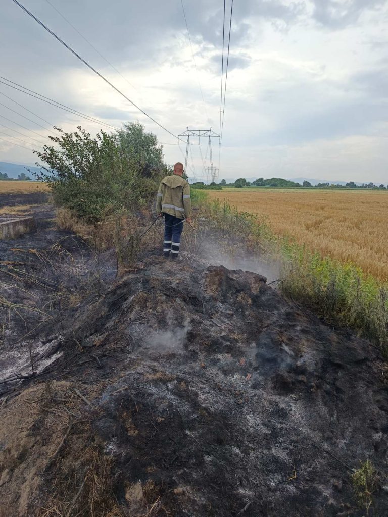 Горяха стърнища и сухи треви между Звъничево и Мокрище - pojar zvan2