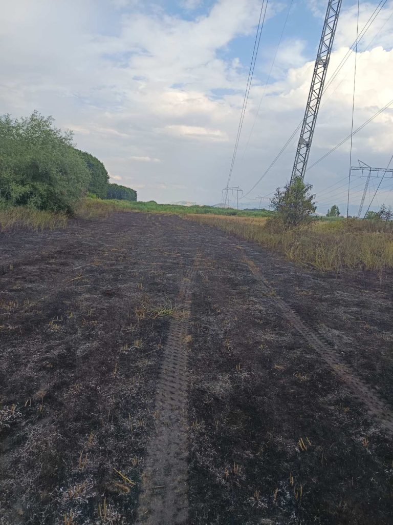 Горяха стърнища и сухи треви между Звъничево и Мокрище - pojar zvan3