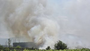 Пожар гори край с.Карабунар
