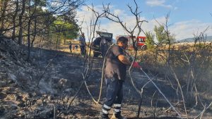 Горя пожар в с.Оборище