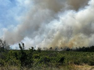 Пожар на сухи треви горя между Исперихово и Огняново