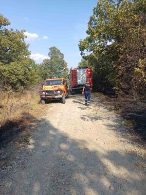 Изгасиха пожар край АМ“Тракия“