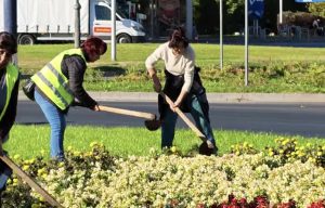 Пазарджик обновява зелените пространства с есенно зацветяване